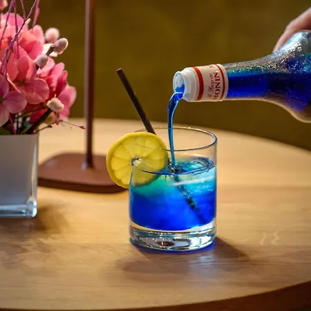 Mercure Airport Messe 4* שטוטגרט