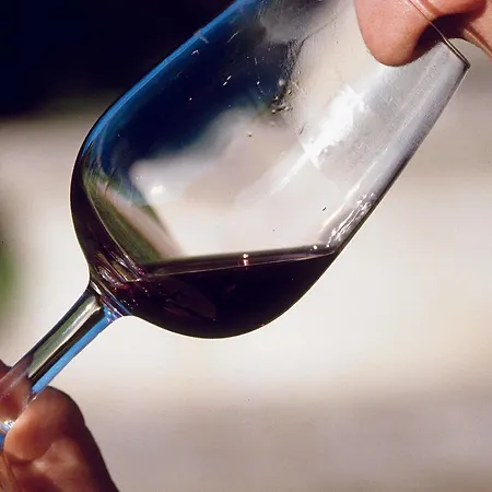 Mercure Airport Messe Stuttgart